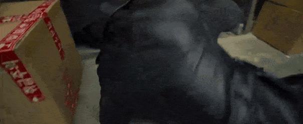 开局就赤身肉搏，这“抗疫神片”突破底线，耗资过亿只配五星差评