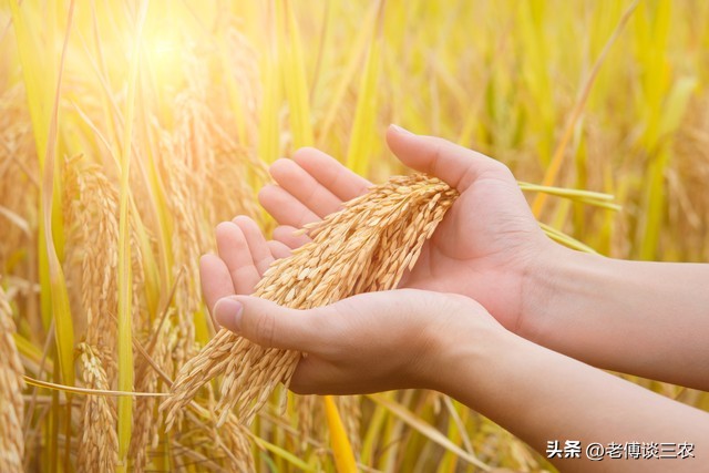 乡村存在的问题及振兴措施,农村乡村振兴存在的问题与困难