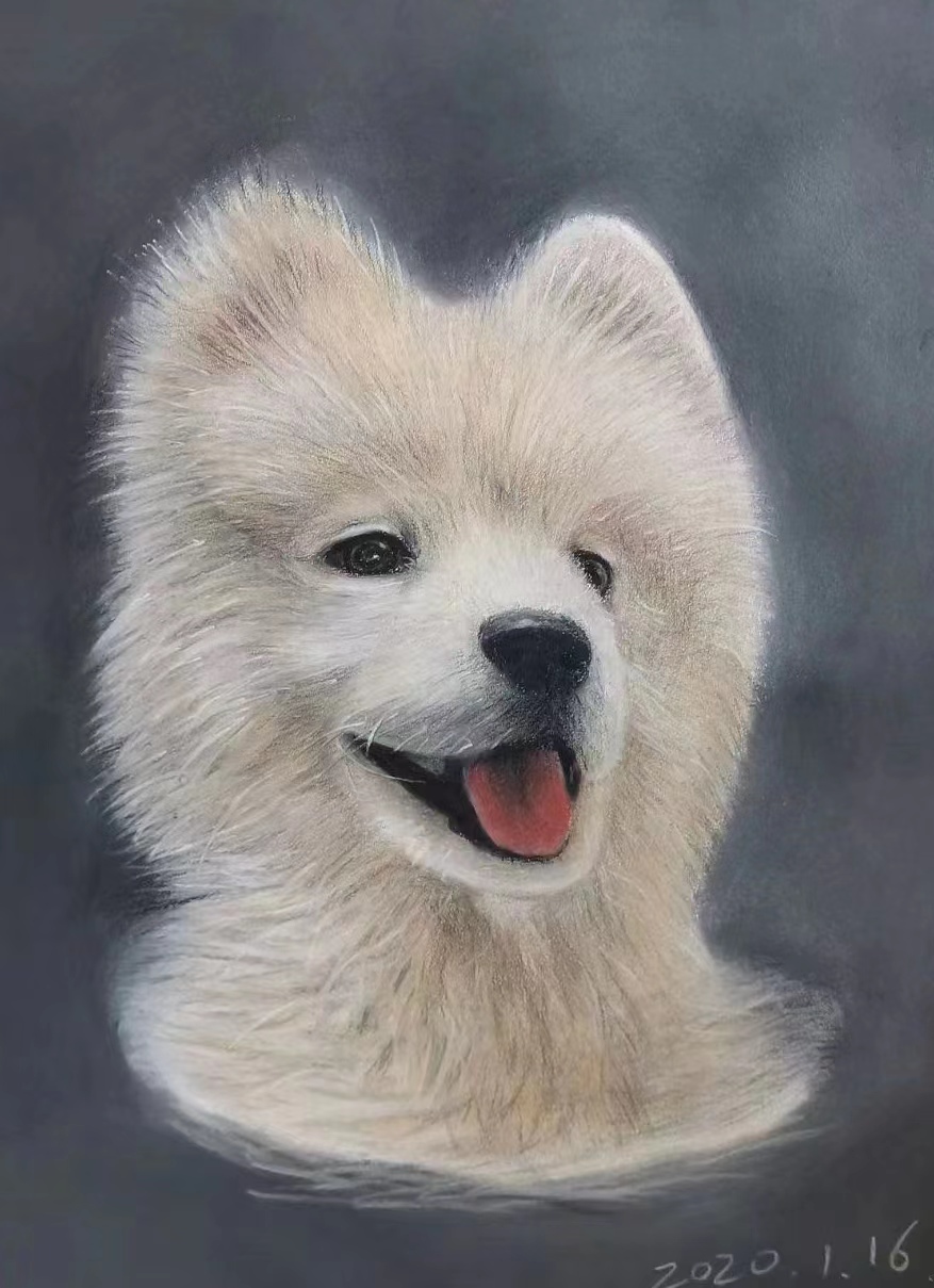 《草原王者》——李娟粉画、彩铅画作品作者：铁二代李娟