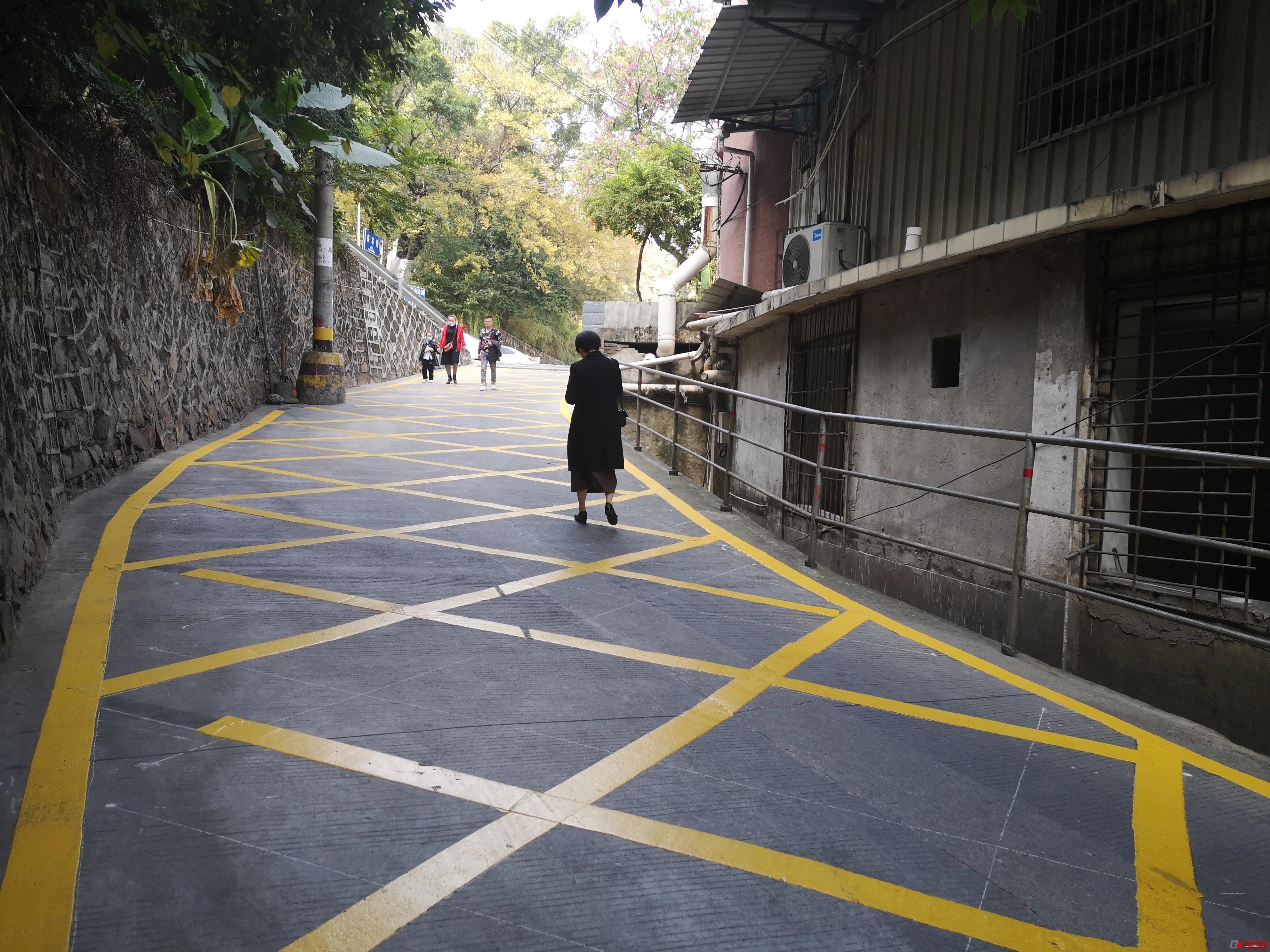 榫欏博娑堥槻鐢熷懡閫氶亾,榫欏博娑堥槻閫氶亾