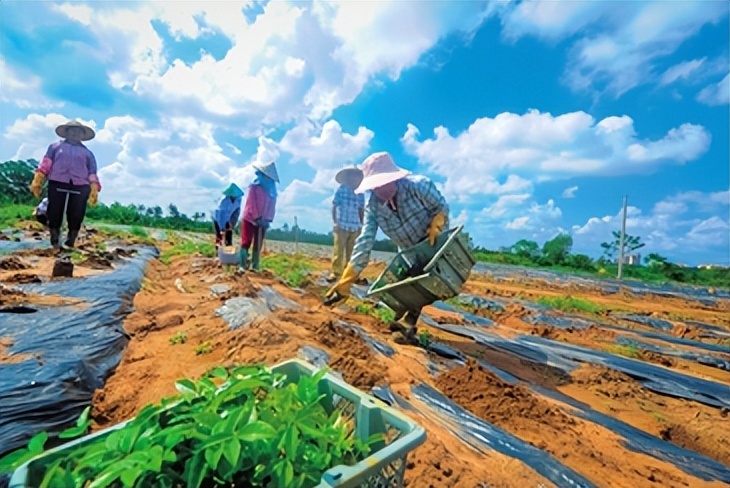 农业扶贫的正确方式,农业技术方面对扶贫的帮助