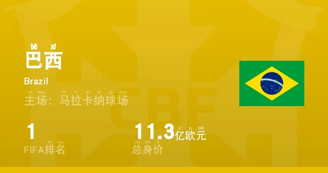 阿根廷卡塔尔世界杯26人名单身价,卡塔尔世界杯身价排名第一