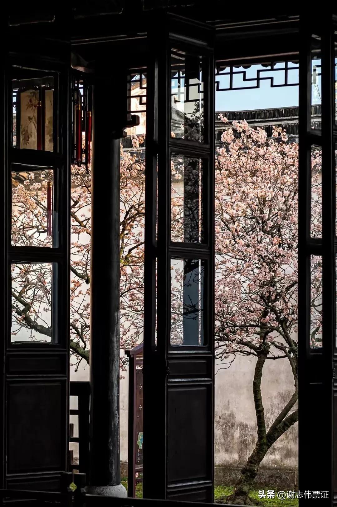 苏州古典园林各个景观特色,苏州园林风景美感极致