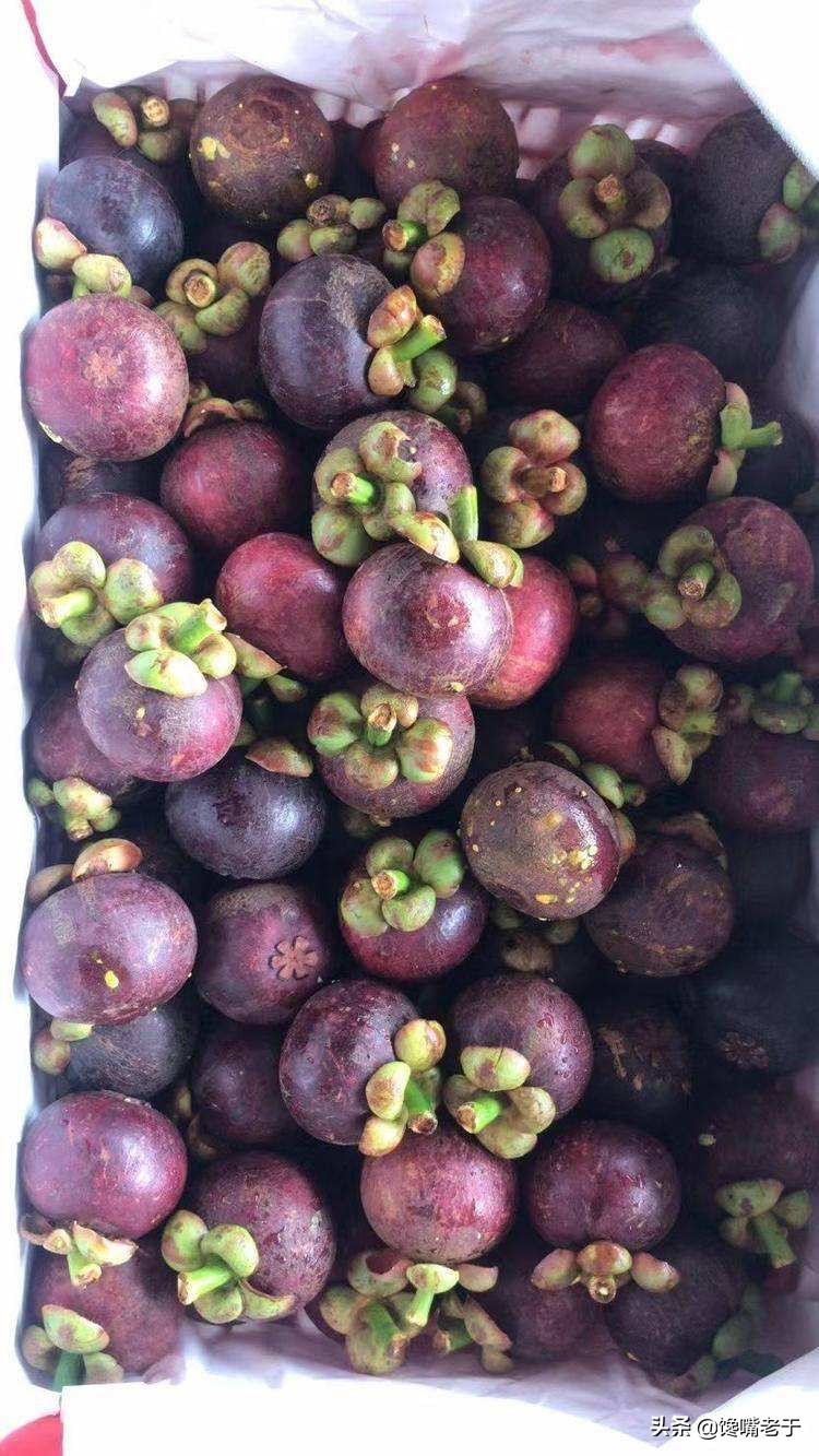 挑选山竹小技巧新鲜又饱满,山竹挑选皮硬还是皮软的
