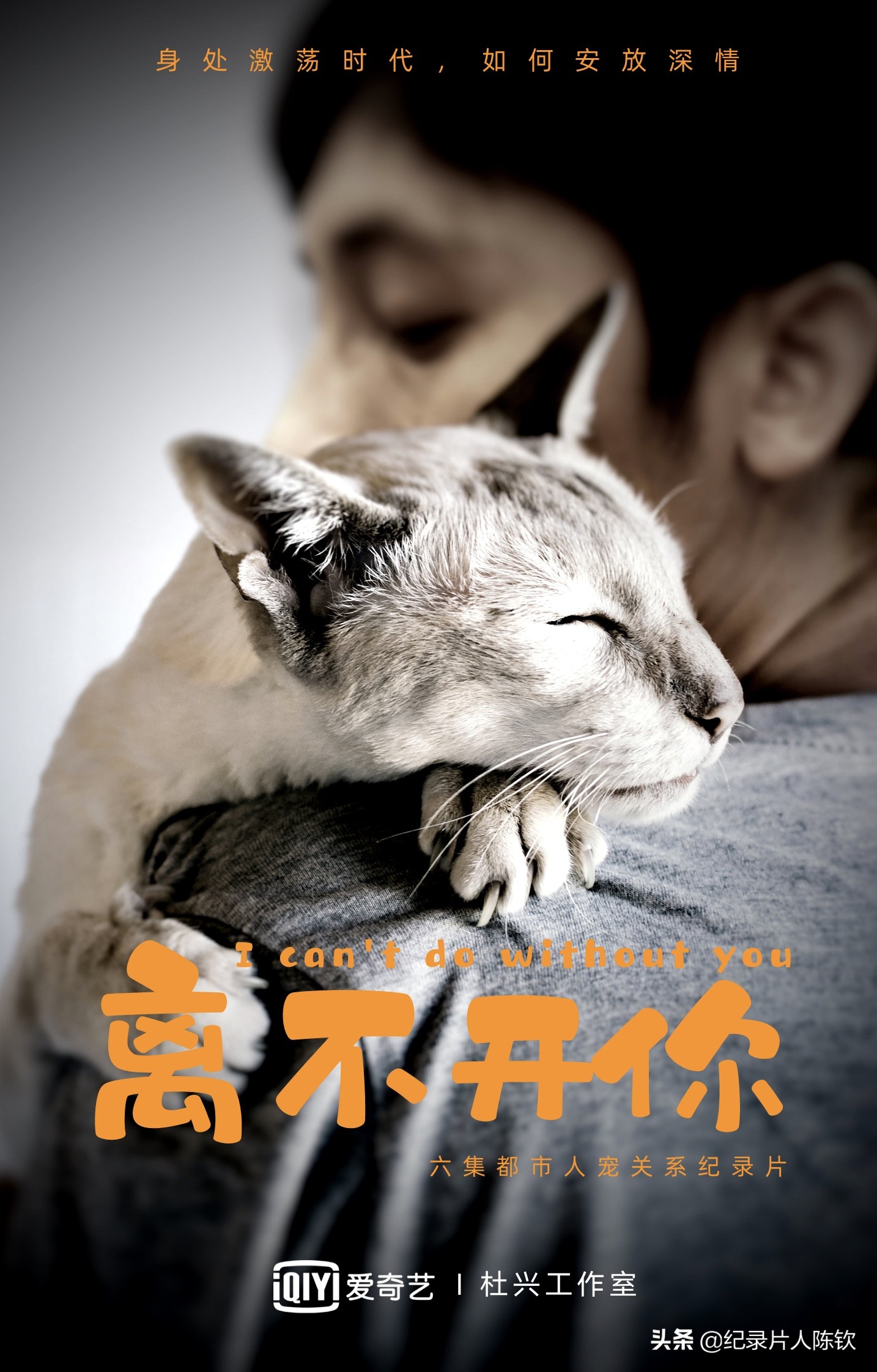 「新春收藏」一键可看风靡全网的年度十*纪大**录片