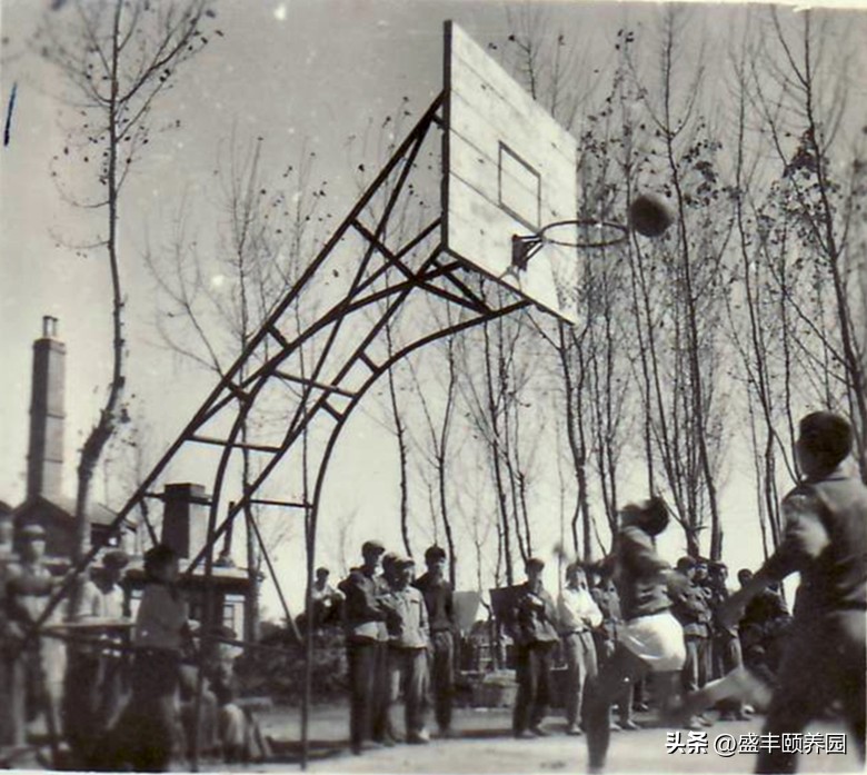 一首知青之歌感动了3000万人,知青之歌冤案始末下集