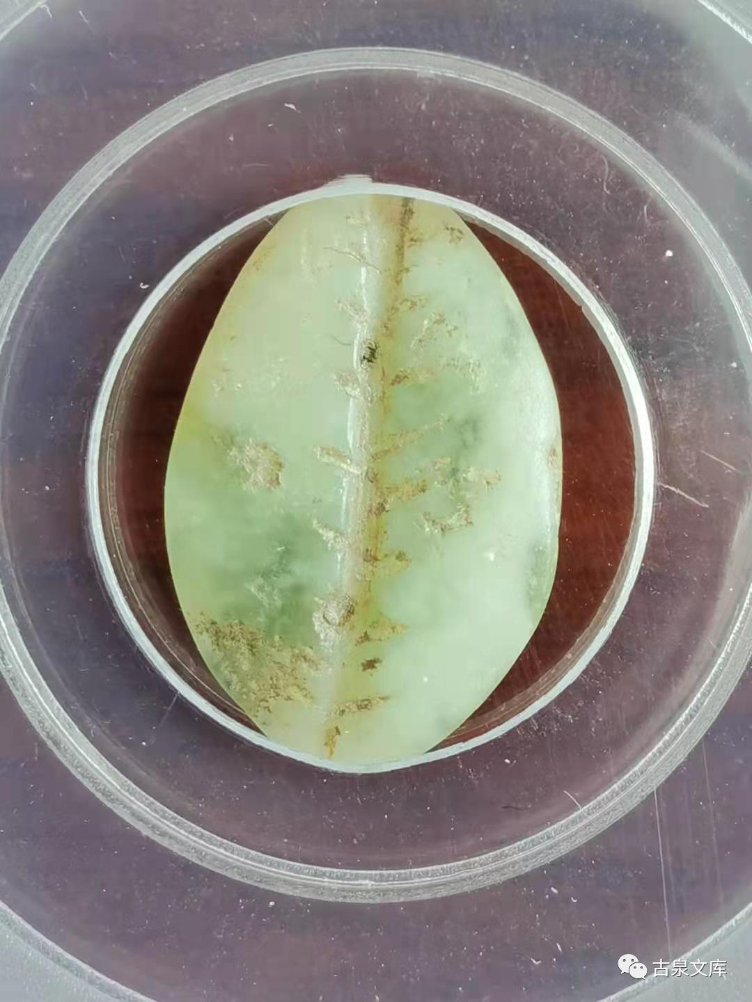 天然贝币真品价格,原始贝币发展史