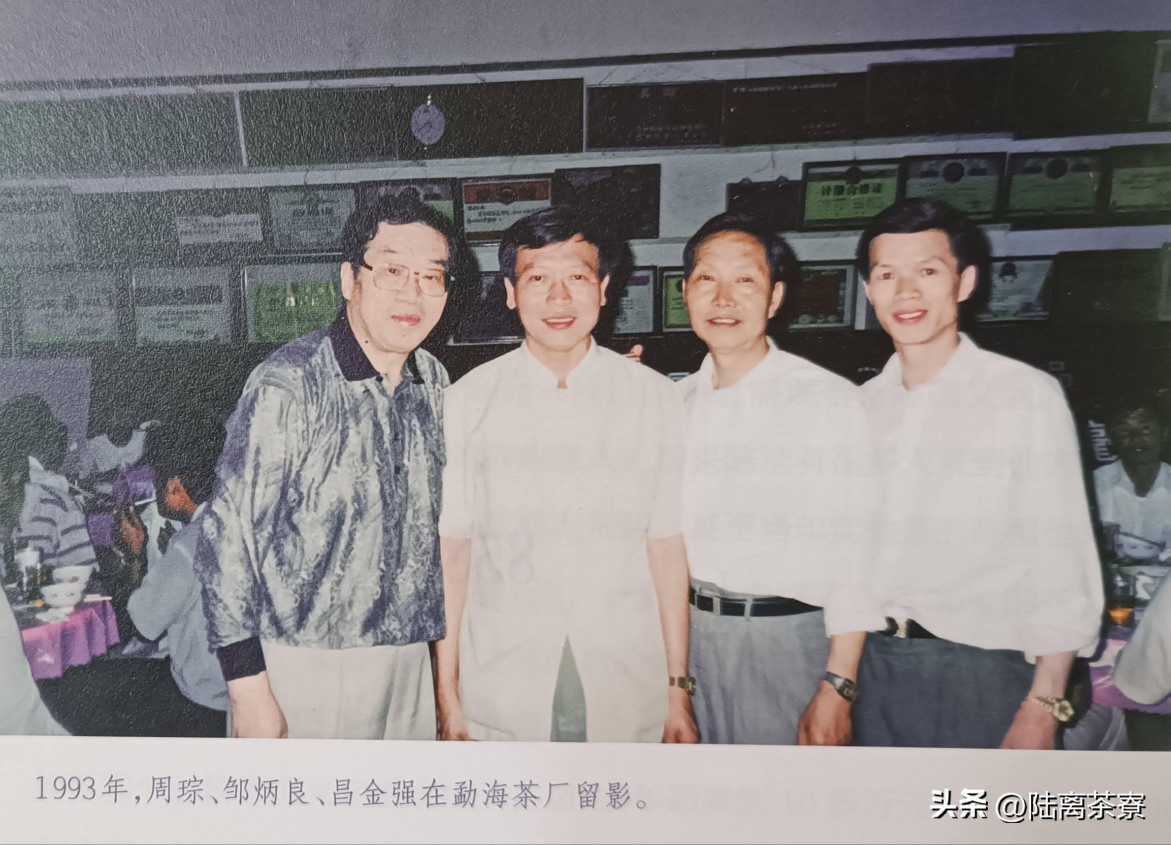 南天贸易公司,南天公司的紫天普洱茶