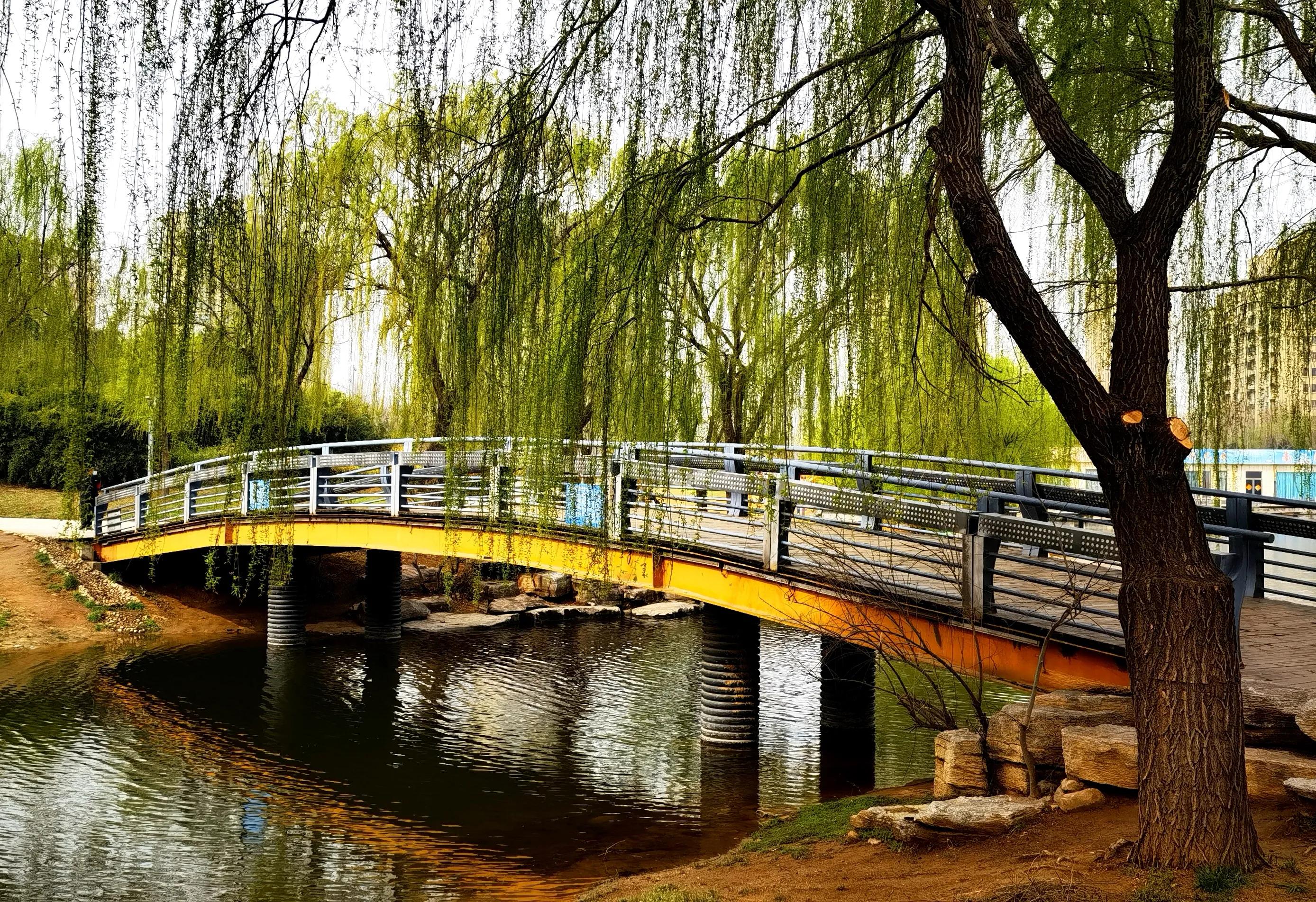 寿康宝鉴大意,寿康宝鉴的十个建议