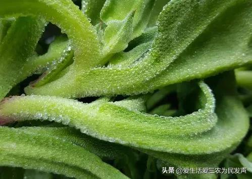 中年女人创业适合什么项目,中年创业项目推荐