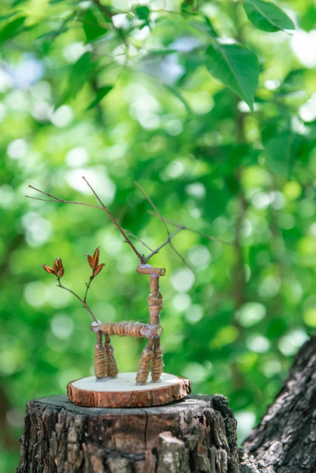 北京市密云区云峰山森林康养基地,北京密云康养基地