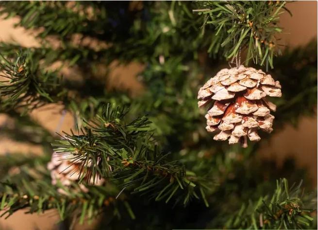 圣诞树小装饰钩织教程,怎么装饰圣诞树英文