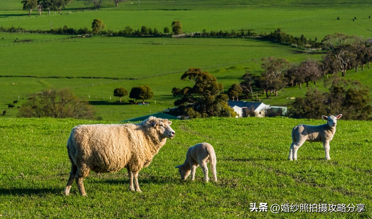 拍婚纱照最大气的景点,拍婚纱照最美外景图片