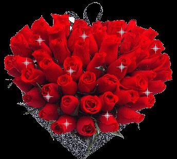 漂亮玫瑰花头像图片,最美最全的玫瑰花图片