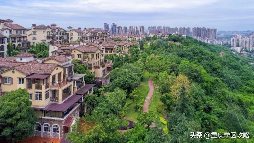 金溪八中是第几梯队,金溪八中在哪个位置