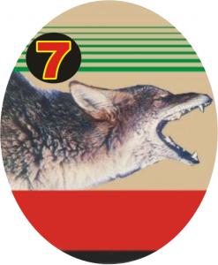 尼日利亚货币标识,尼日利亚军代表