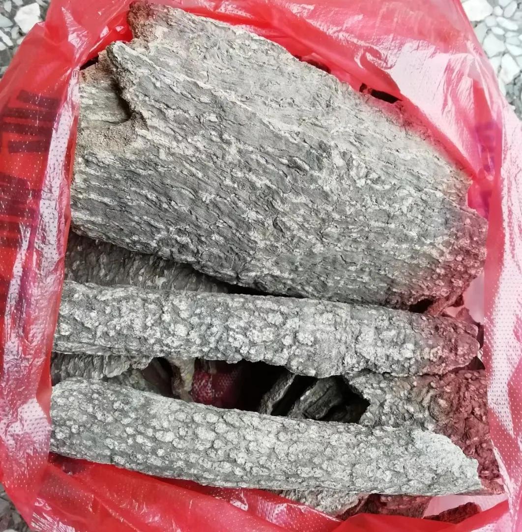 植物多样性的认识,怎么快速认识植物