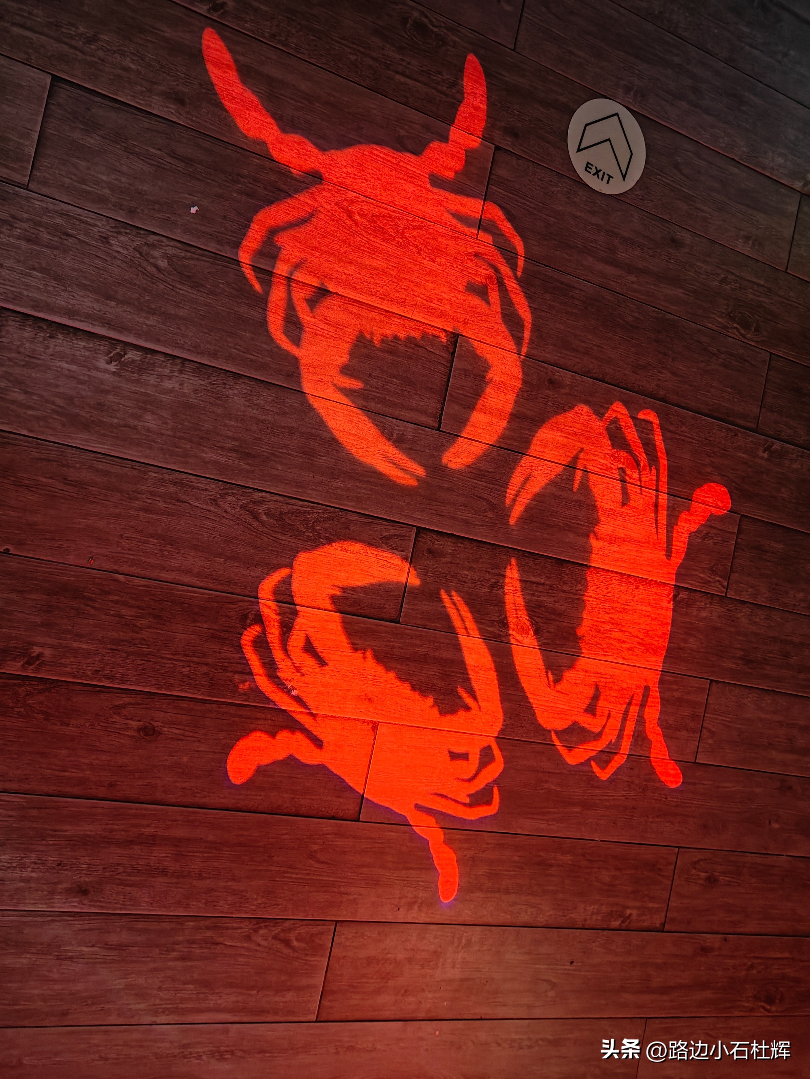 游游人间,游旅人间