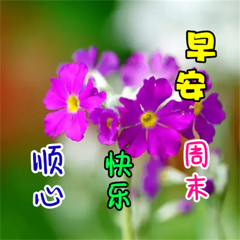 周末早安简单一句话和图片,周一早安最美的句子图片