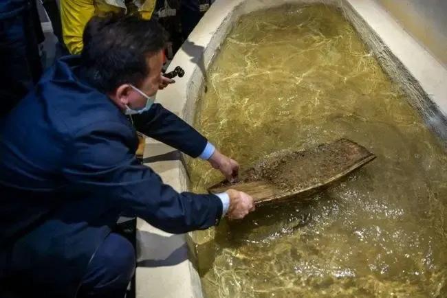 1994年以后能挣钱的事件,90年代致富的故事