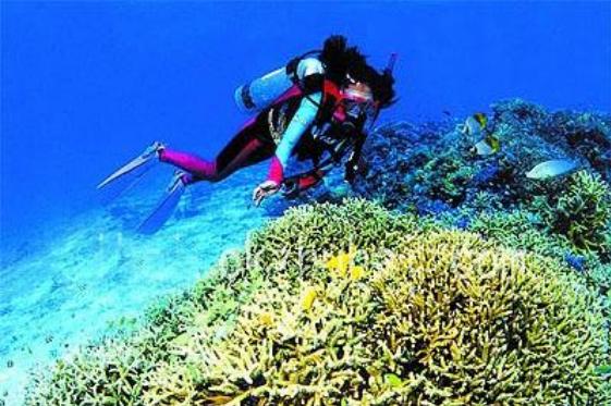 珠海海岛游视频,珠海情侣路一日游攻略景点推荐