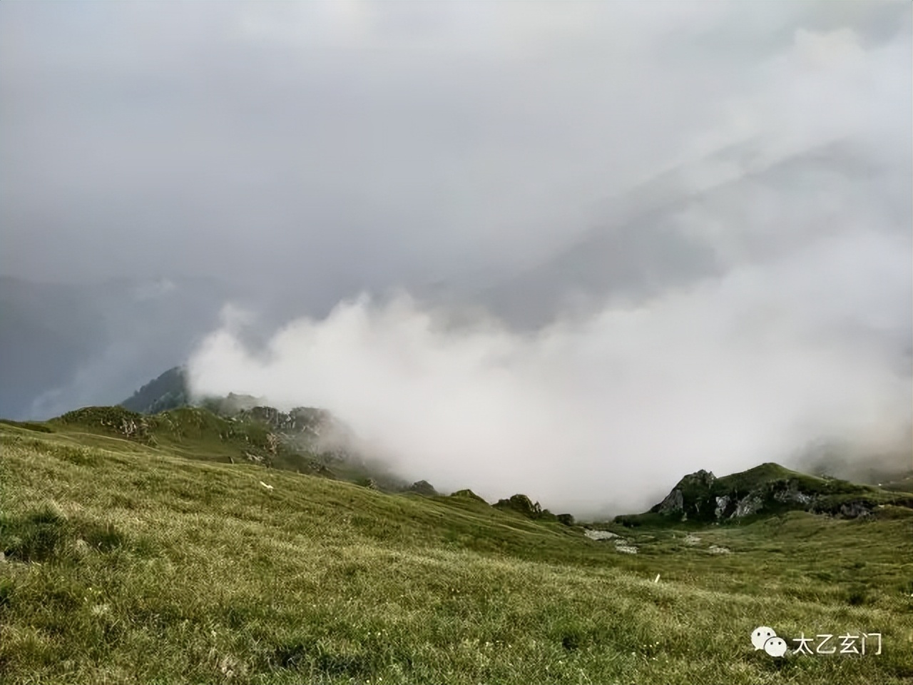 小五台山金莲花坡,小五台金莲花