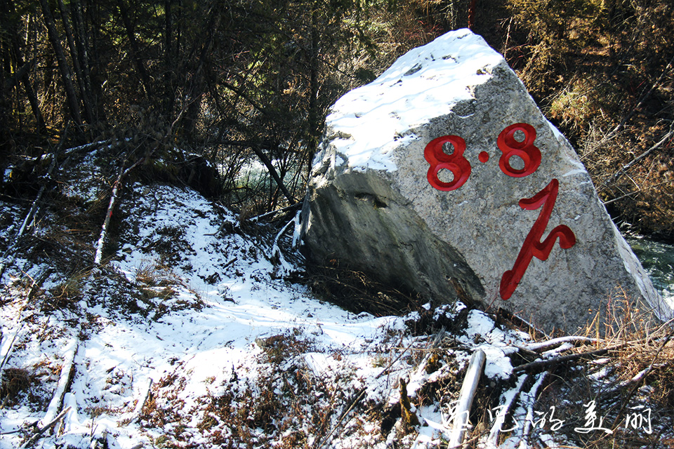 如果一生只去一个古城,一生去一次九寨沟