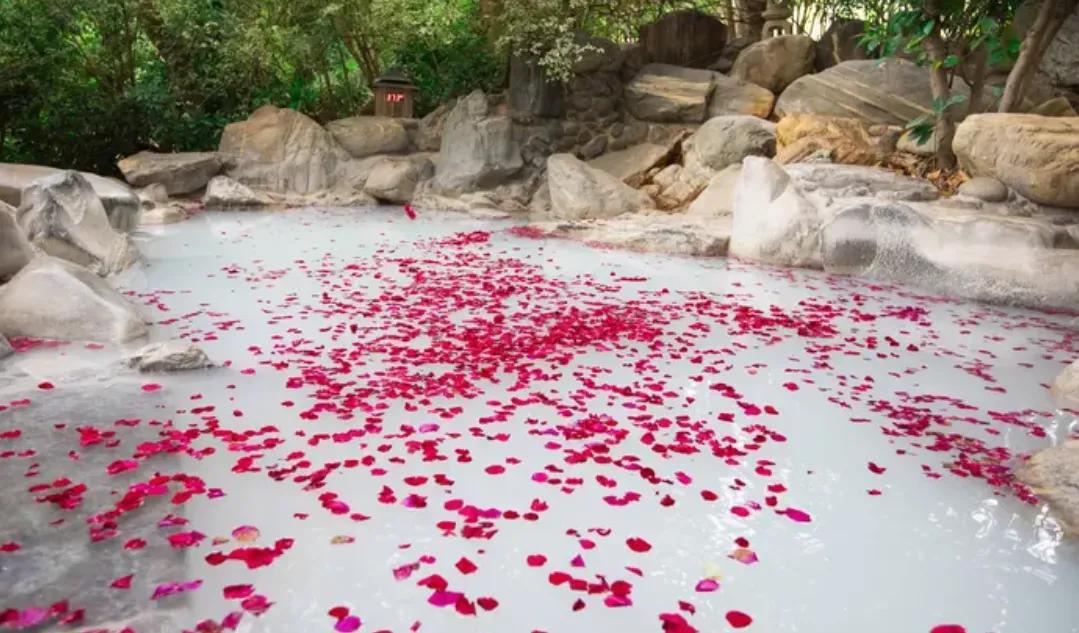 昆明适合儿童度假玩乐的温泉酒店,昆明西麓温泉山谷6-7期在哪里