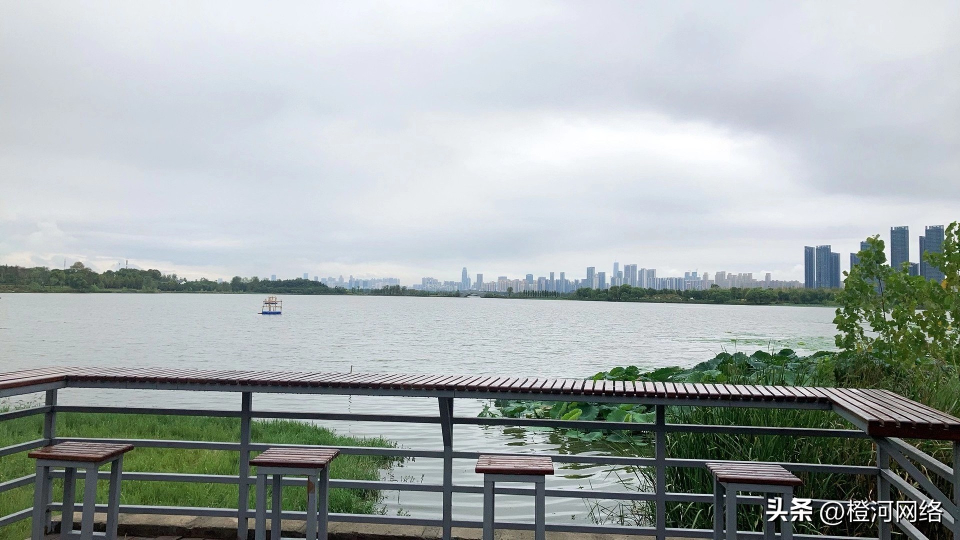 海外问卷调查项目如何快速做,海外调查问卷操作流程