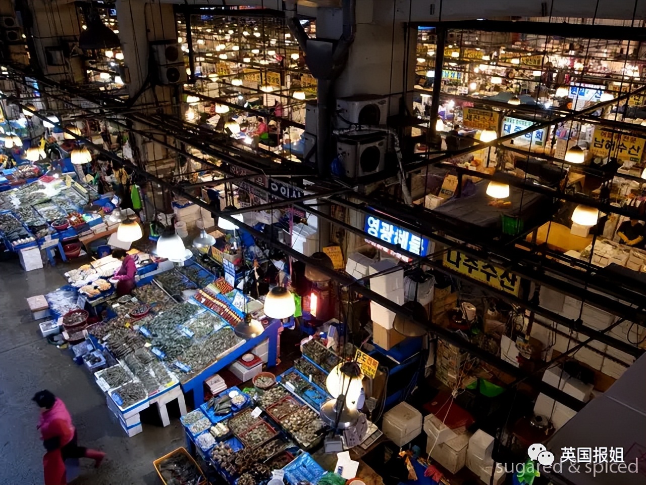 男子吞咽困难狂吐，医生检查吓呆：章鱼卡在体内，触手堵死食道！