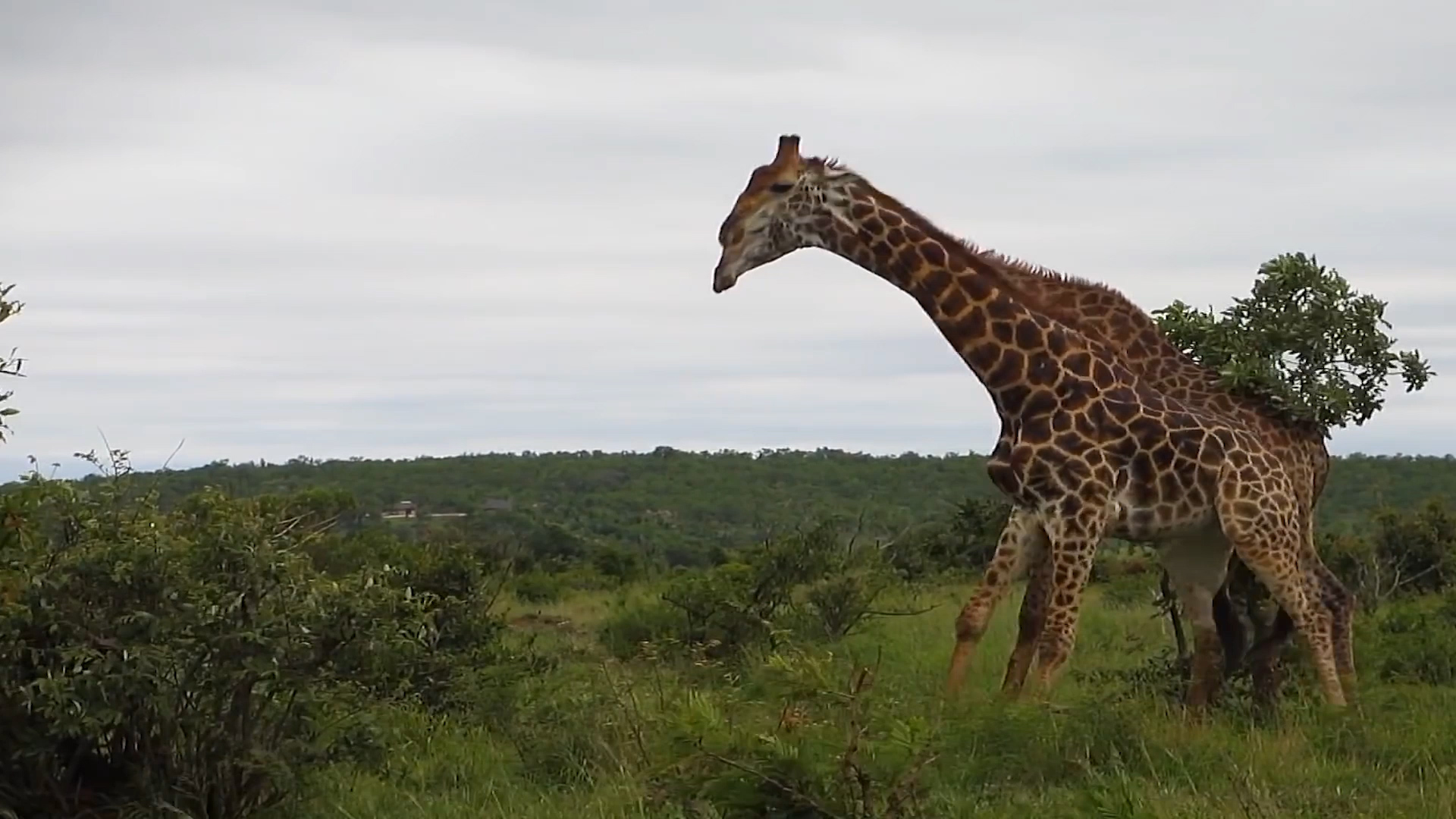 天到底有多高,一张图看懂天有多高