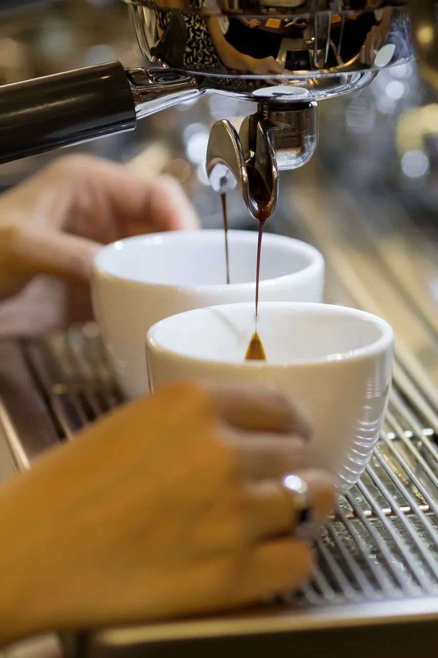 上海世界咖啡文化节,上海咖啡文化节在哪里