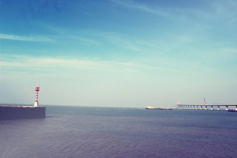 十大最没出路的专业千万不要考研,不考研没有前途的14个专业