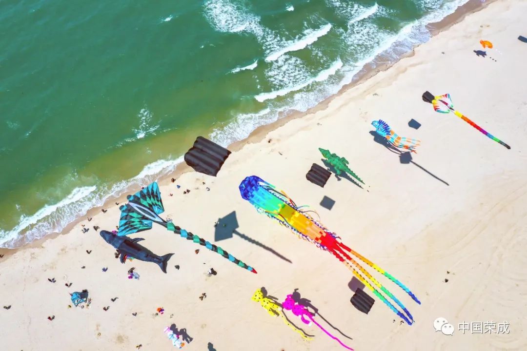 2023鑽ｆ垚鏂囨梾娲诲姩,鑽ｆ垚鐗圭鍏典竴鏃ユ父