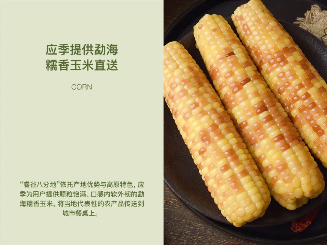 大道恒美×睿谷生态：大品牌战略，赋新生活方式营销