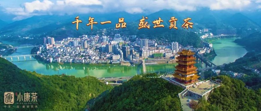 品牌资讯｜小康茶与世界无人机大会签订战略合作协议