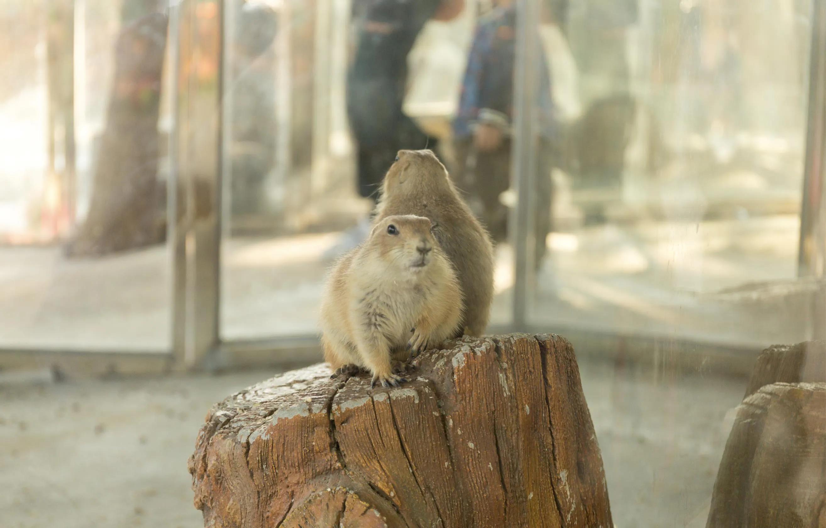 观澜海洋世界游玩攻略,深圳观澜海洋世界
