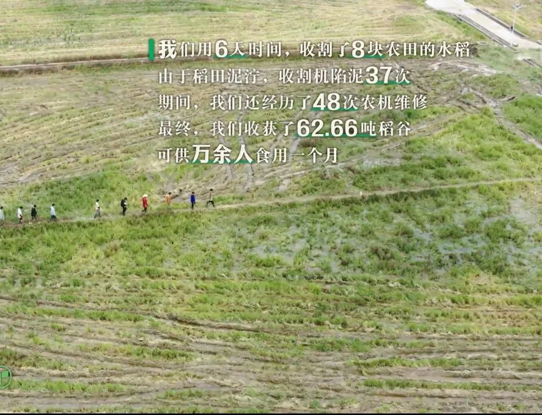 豆瓣8.5综艺评分高吗,最近很好的一个综艺豆瓣评分9