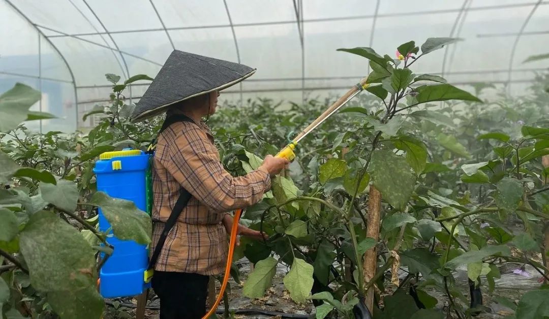 多利桃花源有机农庄,多利桃花源旅行