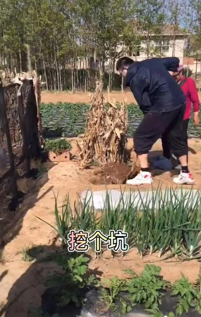 韩德君成长之路,韩德君第二阶段精彩集锦