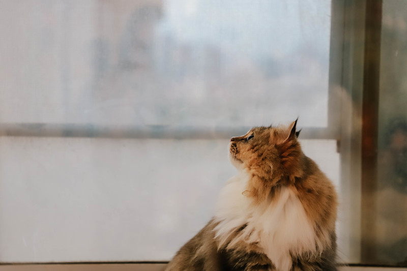 深圳必打卡咖啡馆,深圳罗湖小众咖啡馆