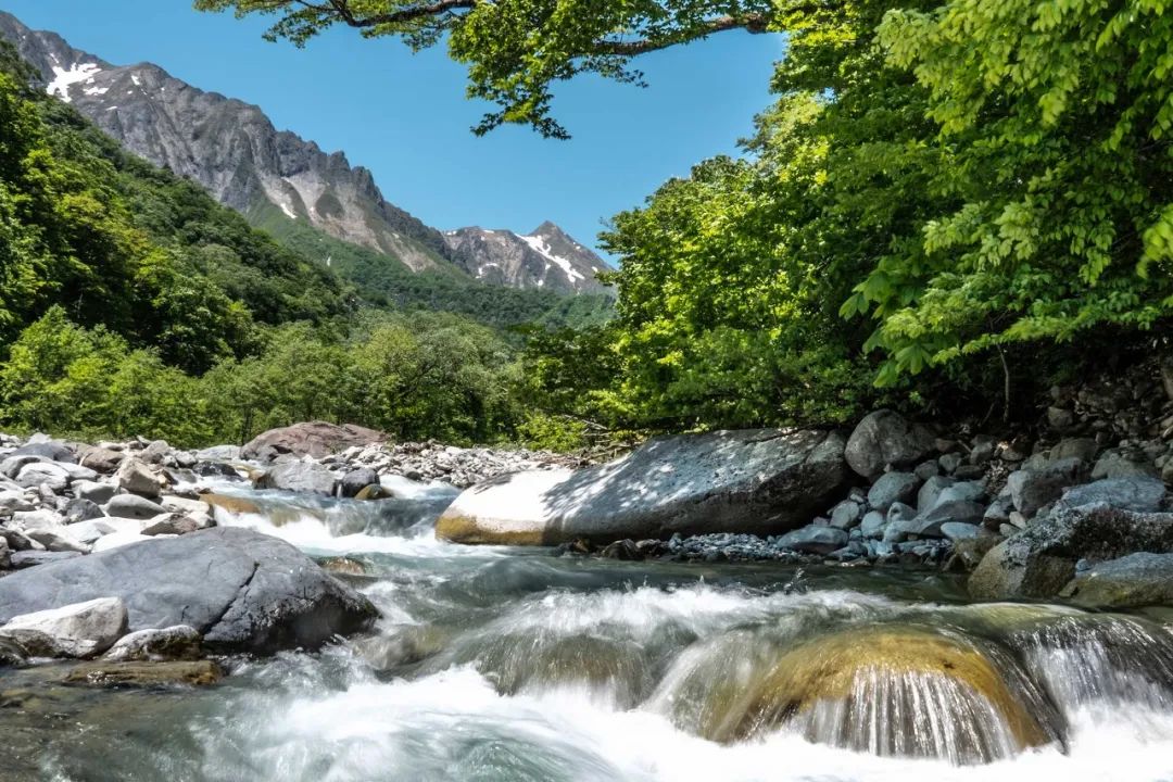 乡村改造创意工坊设计概念,极简乡村改造设计