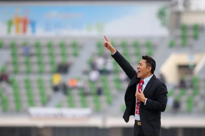 金大仪李玮峰,金大仪与李玮峰