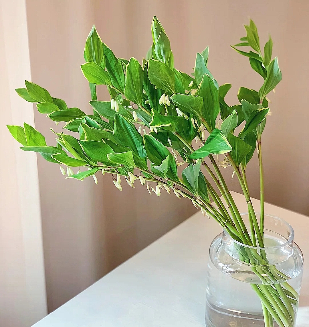 花艺教程花材打理知识,花艺教程常用花材及叶材有哪些