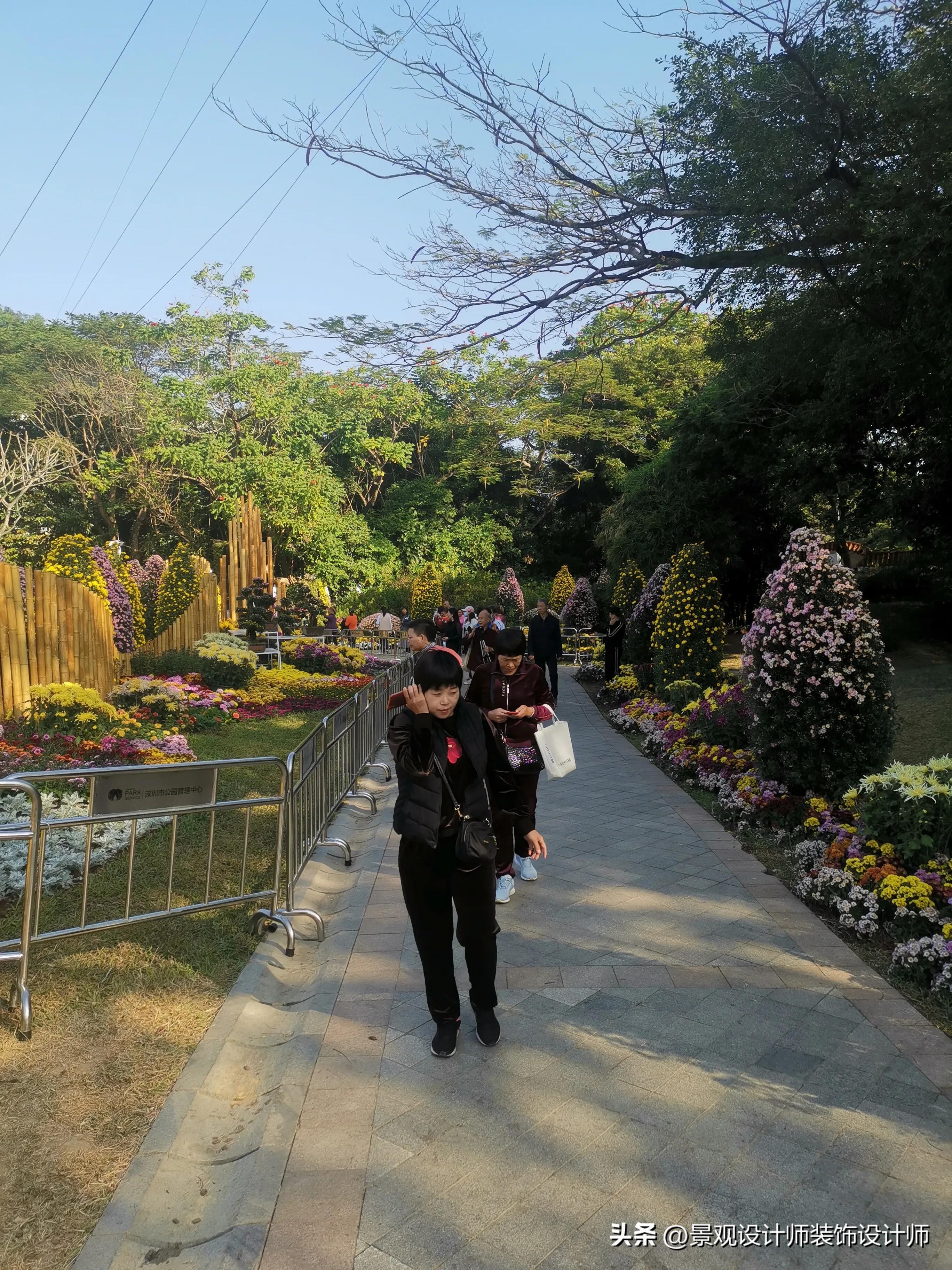 深圳市东湖公园广场舞,深圳市东湖公园收费标准