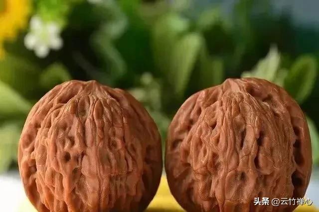 如何挑选菩提金刚,金刚菩提子的选购技巧和方法视频