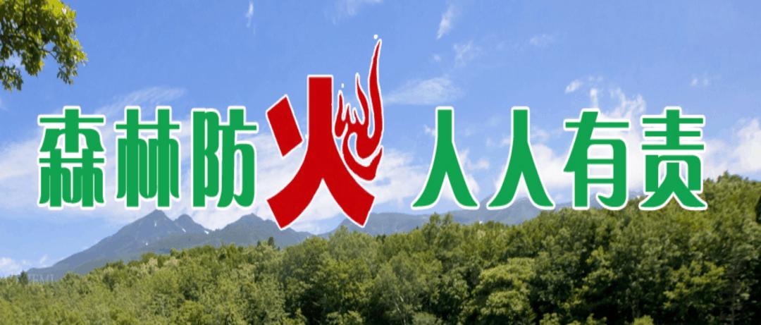 新年贺词努力奋斗才能梦想成真,争创全国百强县工作思路