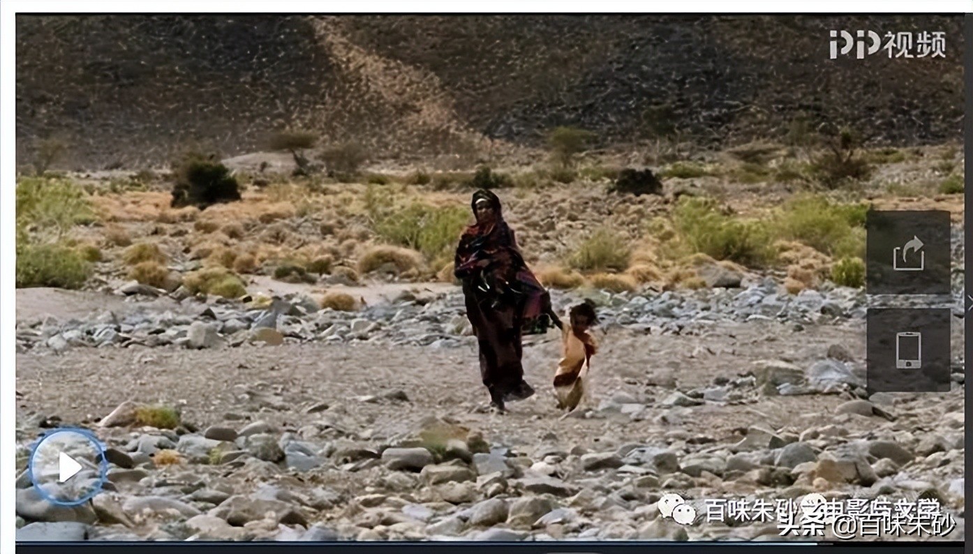 《电影赏析》001:英国影片《沙漠之花》——有一种罪恶叫割礼