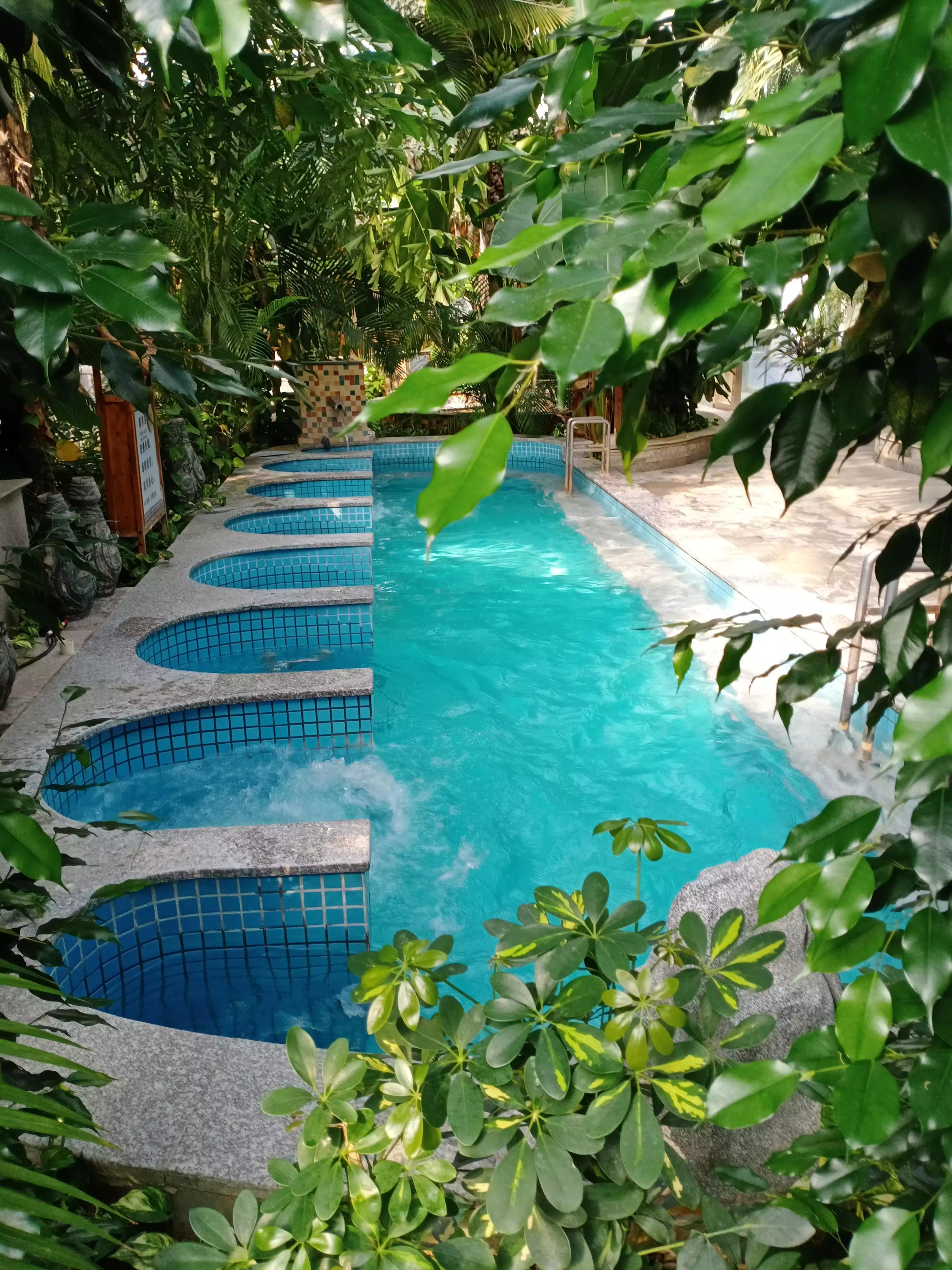 最好的温泉是硫磺温泉吗,凤山温泉和白鹿温泉度假村哪个好