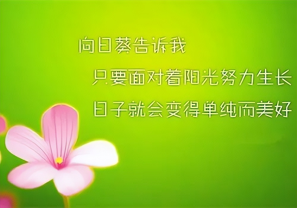 正能量早安语录经典句子图片,早安心灵鸡汤简短好句子一年级